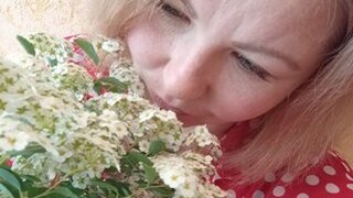 Sweet_Symphony